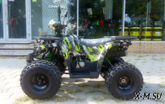 Квадроцикл (ATV) серия 3, BRAVO