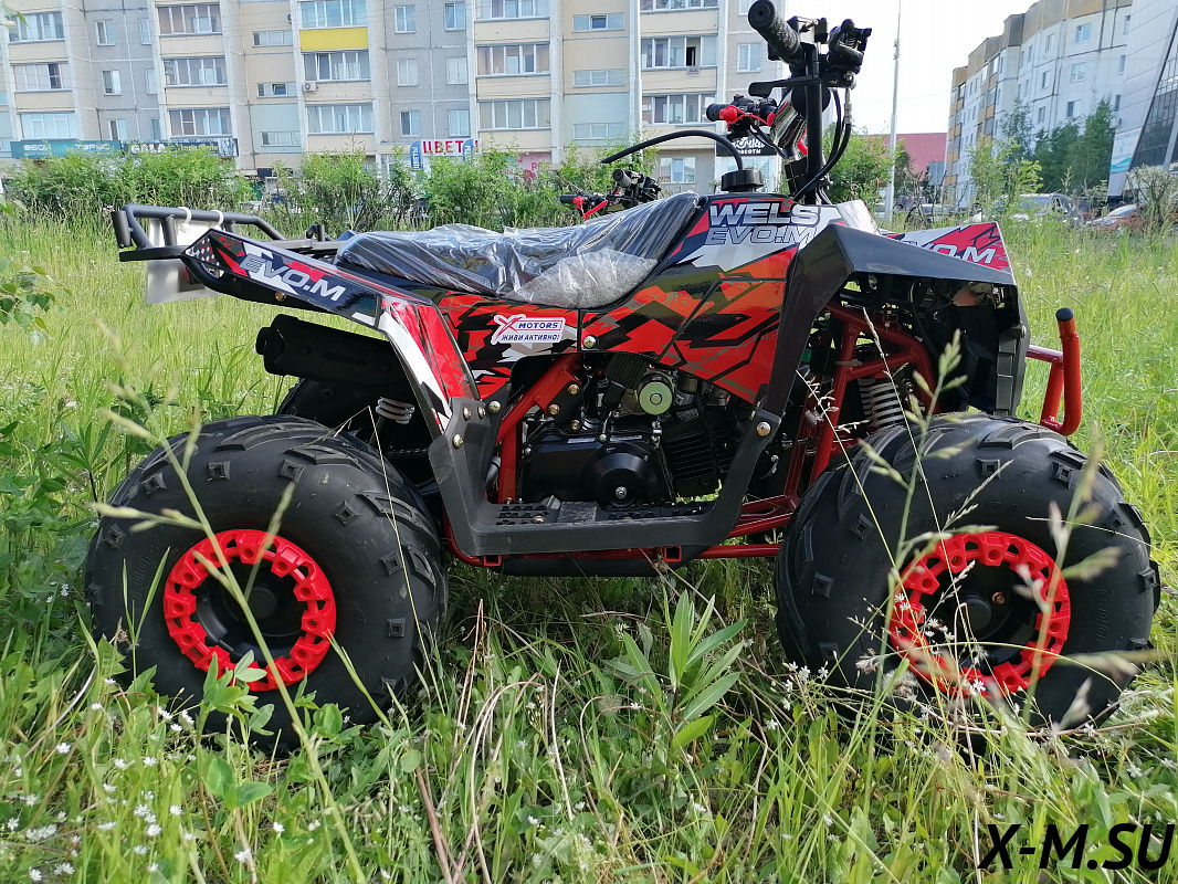 Квадроцикл evo m. Wels EVO M 110cc. Квадроцикл Велс. Wels EVO M 110. Wels EVO.M 110cc белый.