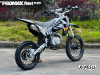 Мотоцикл (питбайк) PROMAX FIDET (ФАЙДЕТ) 145E PRO 14/12
