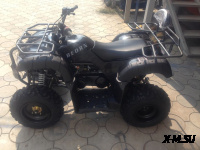 Квадроцикл ATV Beorn 200 